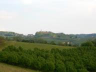 CAMMINATA A CALAMANDRANA ALTA