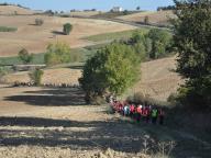 VI RADUNO PIEMONTESE NORDIC WALKING