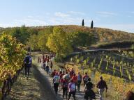 VI RADUNO PIEMONTESE NORDIC WALKING