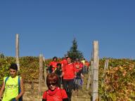 VI RADUNO PIEMONTESE NORDIC WALKING