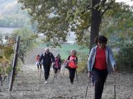 CAMMINATE IN TECNICA NORDIC WALKING