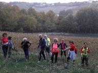 CAMMINATE IN TECNICA NORDIC WALKING