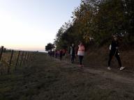 CAMMINATE IN TECNICA NORDIC WALKING