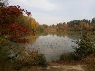 CAMMINATE IN TECNICA NORDIC WALKING AL PARCO DELLA MANDRIA