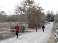 CAMMINATE IN TECNICA NORDIC WALKING AL PARCO DELLA MANDRIA