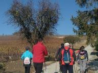 CAMMINATE IN TECNICA NORDIC WALKING