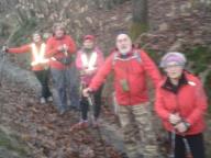 CAMMINATE IN TECNICA NORDIC WALKING