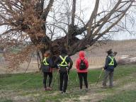 CAMMINATA IN TECNICA NORDIC WALKING CON PAOLA R.