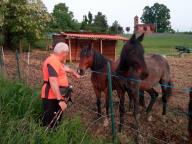 CAMMINATA IN TECNICA NORDIC WALKING