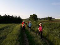 CAMMINATA IN TECNICA NORDIC WALKING