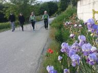 CAMMINATA IN TECNICA NORDIC WALKING CON PAOLA R.