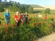 CAMMINATA IN TECNICA NORDIC WALKING CON PAOLA R.