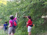 CAMMINATA IN TECNICA NORDIC WALKING