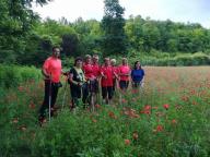 CAMMINATE IN TECNICA NORDIC WALKING