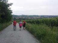 CAMMINATA IN TECNICA NORDIC WALKING CON PAOLA R.