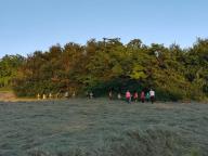 CAMMINATA IN TECNICA NORDIC WALKING