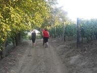 CAMMINATA IN TECNICA NORDIC WALKING CON PAOLA R.