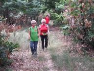 CAMMINATA IN TECNICA NORDIC WALKING CON PAOLA R.