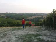 CAMMINATA IN TECNICA NORDIC WALKING CON PAOLA R.