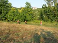 CAMMINATA IN TECNICA NORDIC WALKING CON PAOLA R.