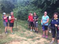 CAMMINATE IN TECNICA NORDIC WALKING