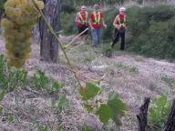 CAMMINATA IN TECNICA NORDIC WALKING CON PAOLA R.