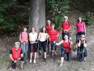 CAMMINATE IN TECNICA NORDIC WALKING