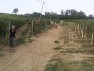 CAMMINATA IN TECNICA NORDIC WALKING CON PAOLA R.