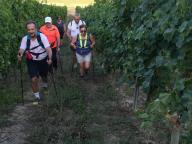 CAMMINATA IN TECNICA NORDIC WALKING