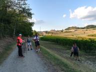 CAMMINATA IN TECNICA NORDIC WALKING