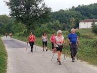 CAMMINATE IN TECNICA NORDIC WALKING