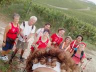 CAMMINATE IN TECNICA NORDIC WALKING