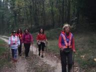 CAMMINATE IN TECNICA NORDIC WALKING