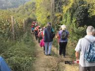 CAMMINATA A VEZZA D'ALBA - SENTIERO DEL TASSO