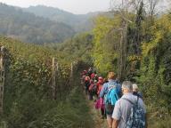 CAMMINATA A VEZZA D'ALBA - SENTIERO DEL TASSO