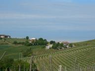 CAMMINATA PER LE COLLINE DI NIZZA M.