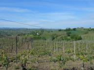 CAMMINATA PER LE COLLINE DI NIZZA M.