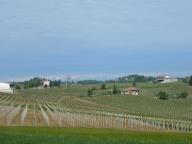 CAMMINATA PER LE COLLINE DI NIZZA M.