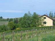 CAMMINATA PER LE COLLINE DI NIZZA M.