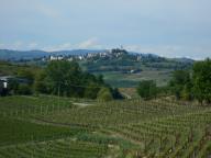 CAMMINATA PER LE COLLINE DI NIZZA M.