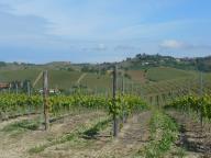 CAMMINATA PER LE COLLINE DI NIZZA M.