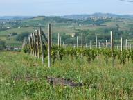 CAMMINATA PER LE COLLINE DI NIZZA M.