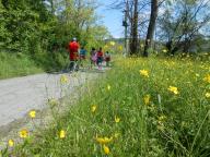 CAMMINATA PER LE COLLINE DI NIZZA M.