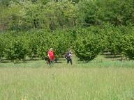 CAMMINATA PER LE COLLINE DI NIZZA M.