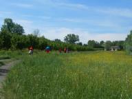 CAMMINATA PER LE COLLINE DI NIZZA M.