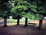 CAMMINARE E MANGIARE NELLA NATURA