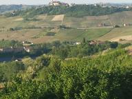 NORDIC WALKING NELLA STERNIA DI CANELLI