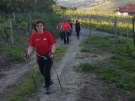 NORDIC WALKING NELLA STERNIA DI CANELLI