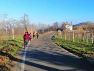 CAMMINATA IN TECNICA NORDIC WALKING CON PAOLA R. 