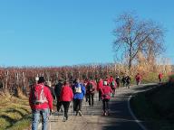 CAMMINATA IN TECNICA NORDIC WALKING ASTI / NIZZA